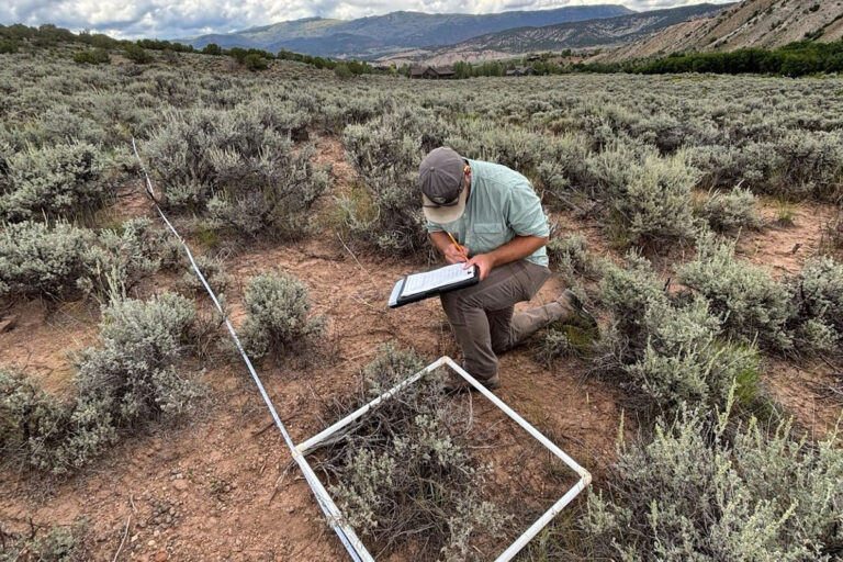 District Conservation Technician Program: Success in Colorado