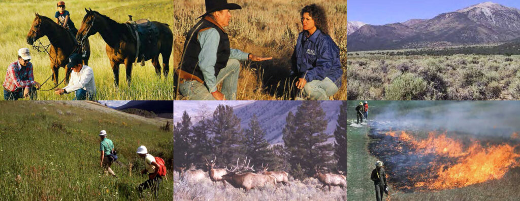 Wyoming Ranch Sustainability 2010