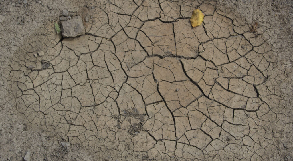 West Virginia Farmers Overcome Drought with State Conservation Support