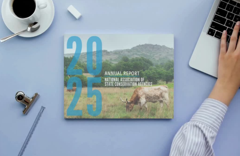 CoverPhoto - 25AnnualReport
